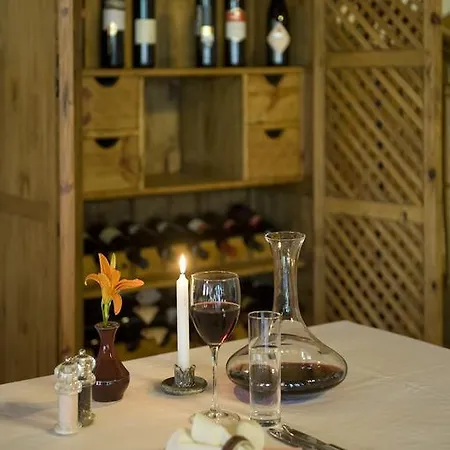 Ginti Panzio, Orseg *