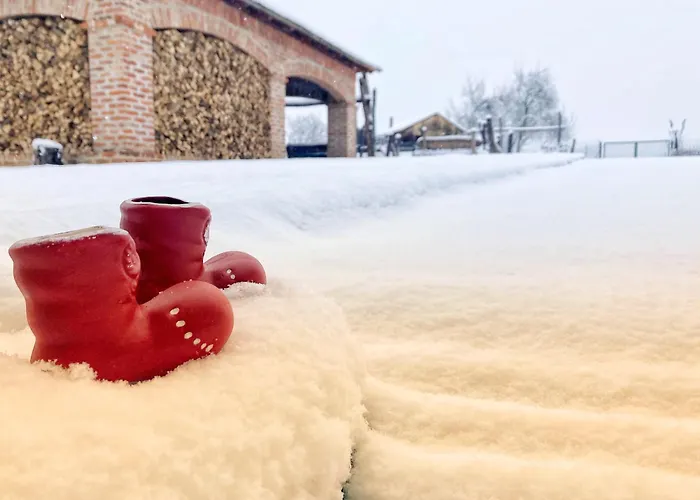 Ginti Panzio, Orseg Han/Misafirhane *