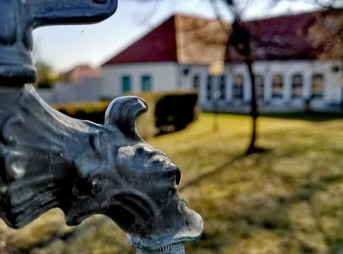 Ginti Panzio, Orseg イン *