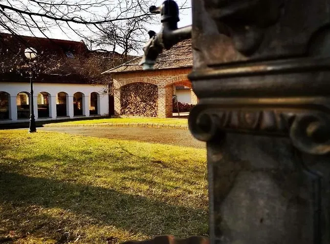 Ginti Panzio, Orseg *